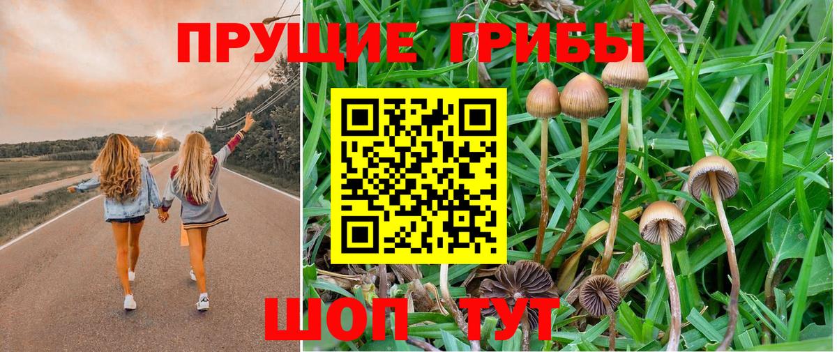 Псилоцибиновые грибы Magic Shrooms Верхний Уфалей