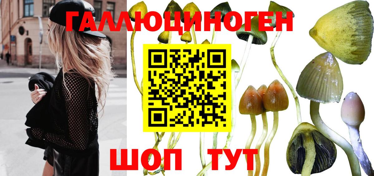 Галлюциногенные грибы мухоморы  Вход с VPN  Верхний Уфалей 